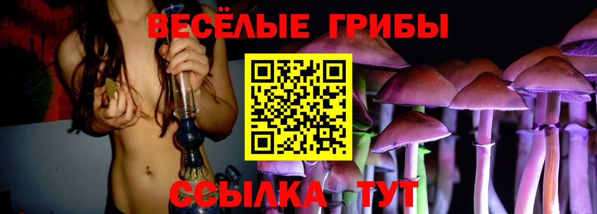 где найти   Псилоцибиновые грибы ЛСД  Вход с VPN  Псилоцибиновые грибы ЛСД  Татарск 